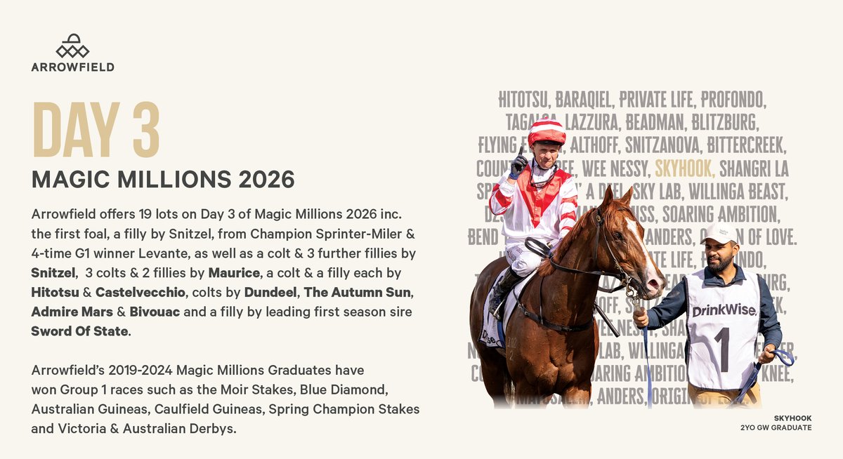 Arrowfield Stud tweet media