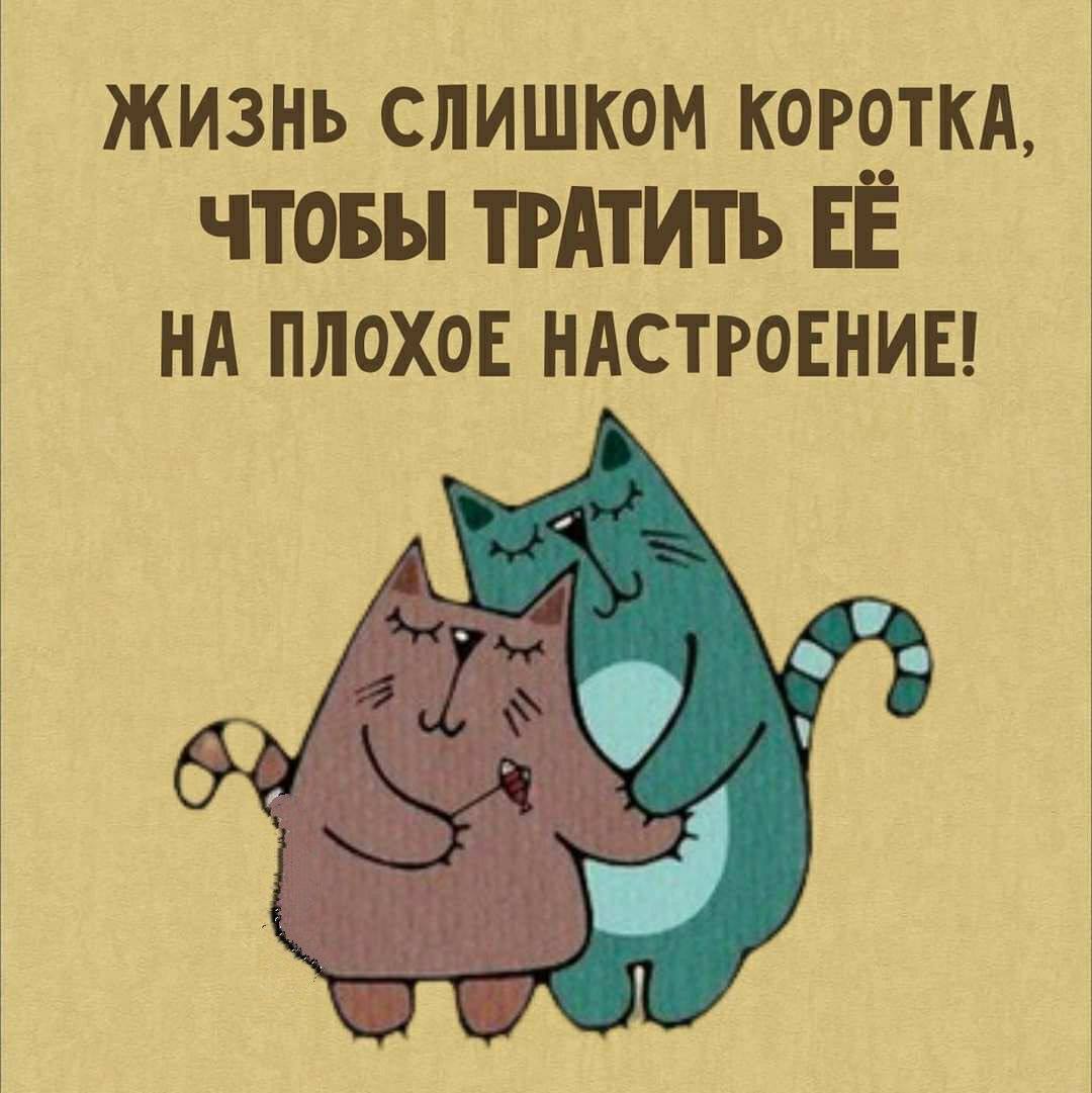 alex_stepoff's tweet photo. @ulya_tse Доброго утра🌏☀️🤗🦋 https://t.co/ZDbu72coaX