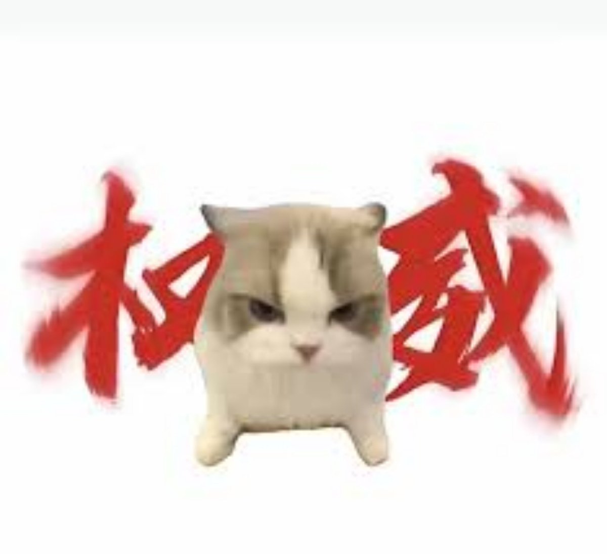 degenyeah's tweet photo. 看热闹 https://t.co/DYhq8x8v7T