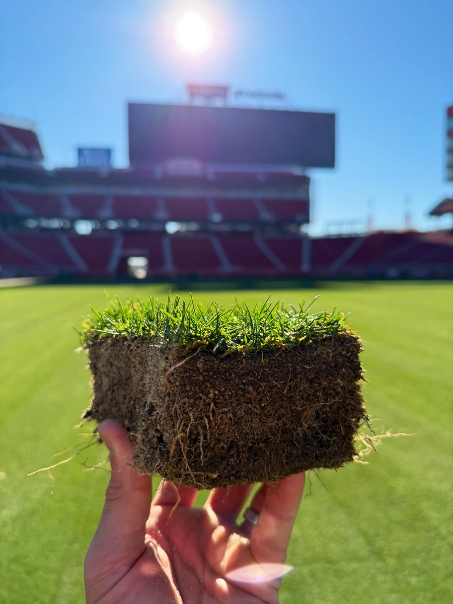 NPappas23's tweet photo. 2026 means new grass for @LevisStadium. Preparing for #SuperBowlLX, but ready for the @49ers if they make one more stop at home. #FromTheField https://t.co/pQ4GxpKe93