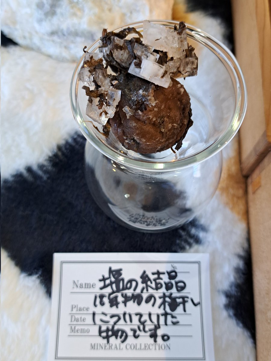 シトリンひし形♡ゴールデンヒーラー マイカ 共生No.313 ケセラセラ 青