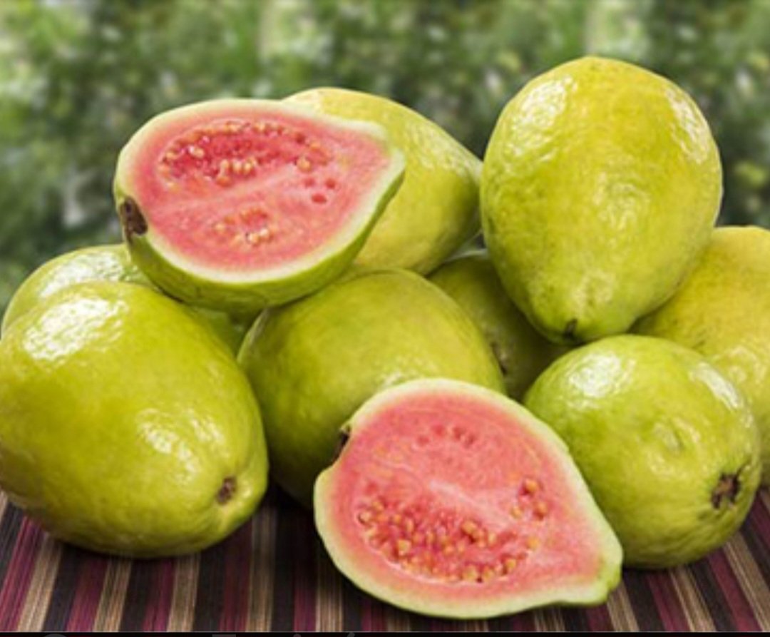 ManjulaKotturu's tweet photo. 🍈🍃Incredible health benefits of eating Guava
Rich in fiber 
Rich in nutrients 
Controls sugar levels 
Improves skin health 
Boosts immunity 🍂 https://t.co/KIt0Rnec9S