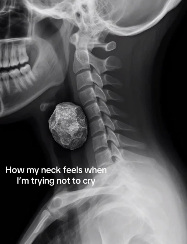 problemetik's tweet image. 