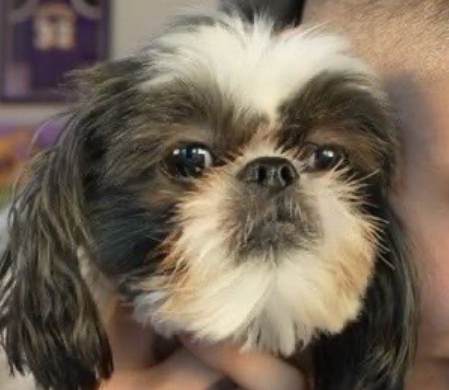 oooosummer1's tweet image. 