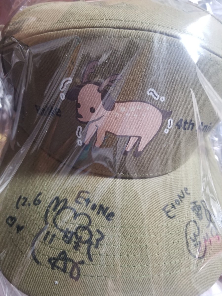 kogarashi0803's tweet photo. えと袋とアクリルカード届いた✨
サイン付きメアリー🦌そしていろいろかわいい〜
お手紙もありがとね〜!
#EtoNe https://t.co/YpRxdoK9Wb