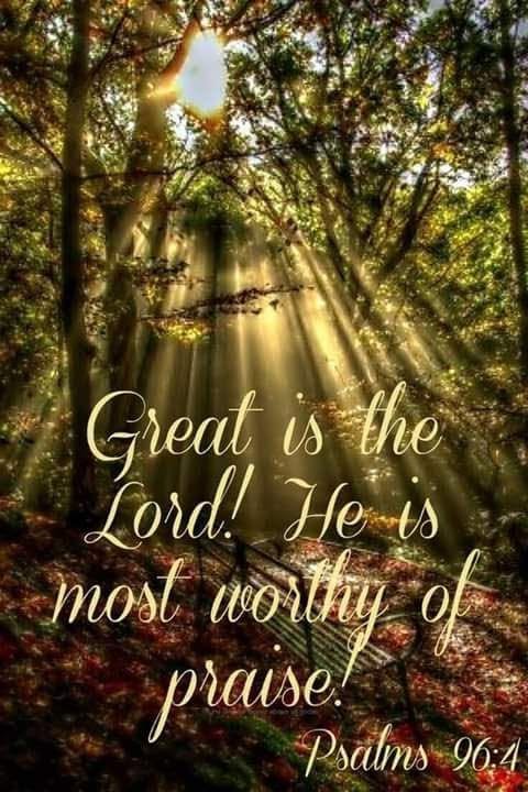 thestro's tweet image. 