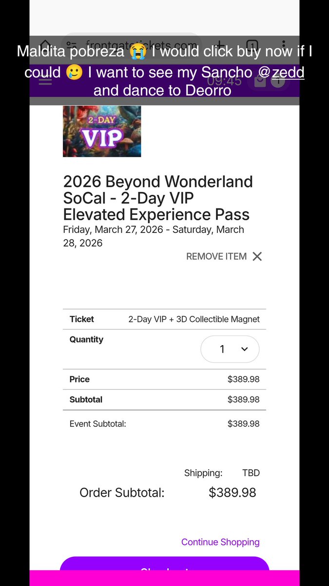 27queenanon's tweet photo. Maldita pobreza 😭 I would click buy now if I could 🥲 I want to see my Sancho @Zedd and dance to @Deorro 😭 https://t.co/QD8DyPyakJ
