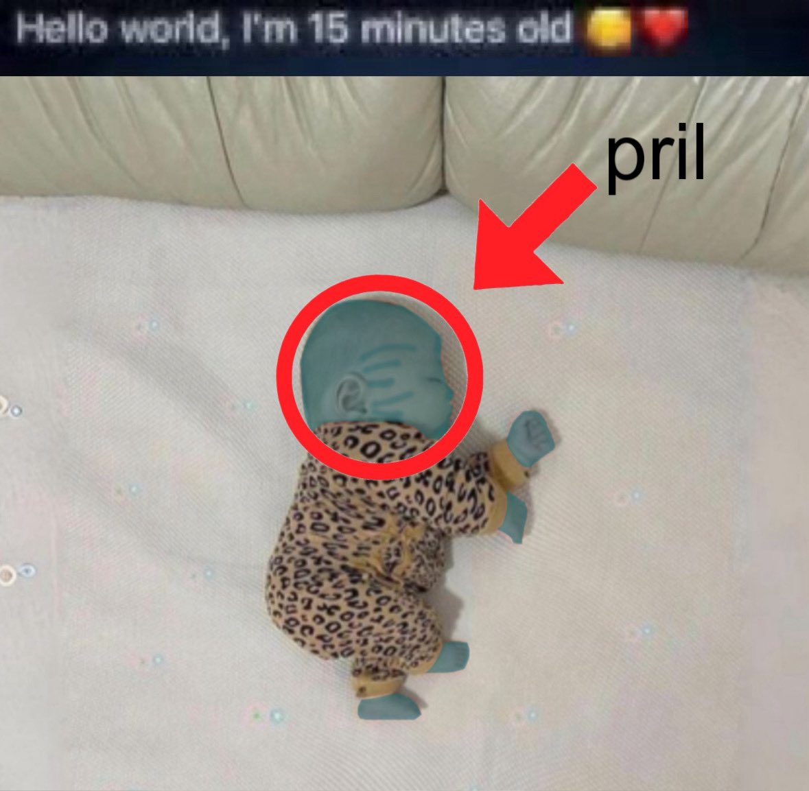 daily pril ˚˖𓍢ִ໋❀ tweet media