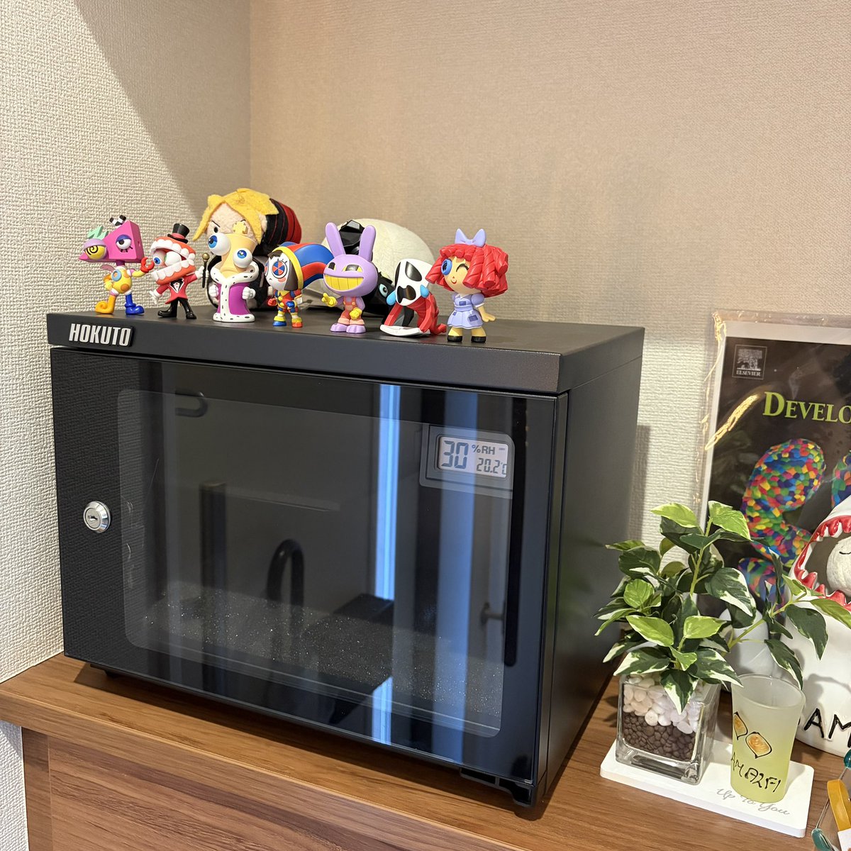 カメラを持ち歩け2026なので玄関に防湿庫を導入