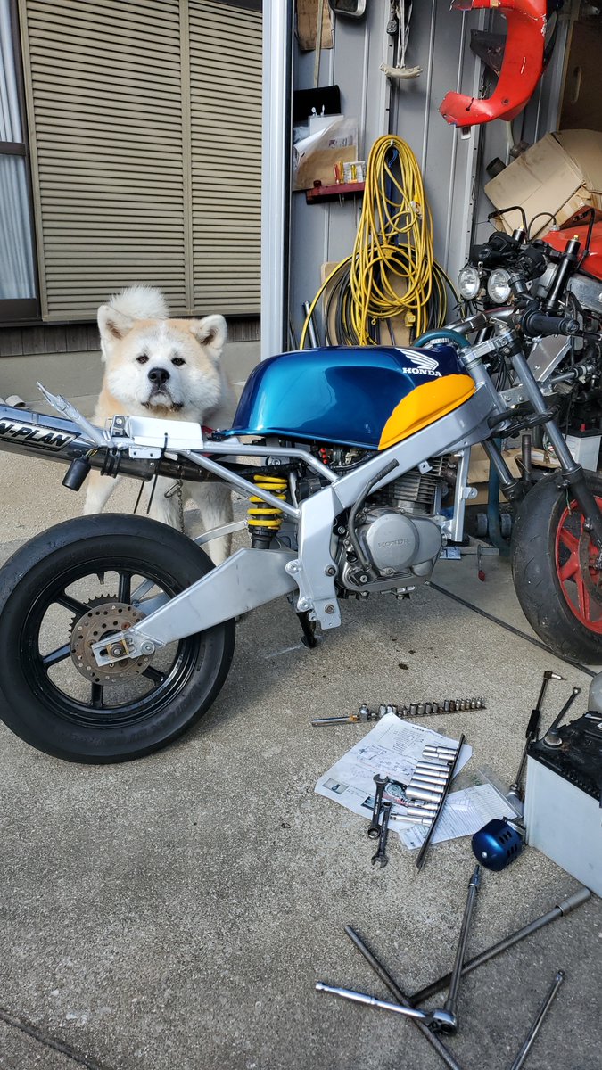 tommy (@yojikun3) / Posts / X