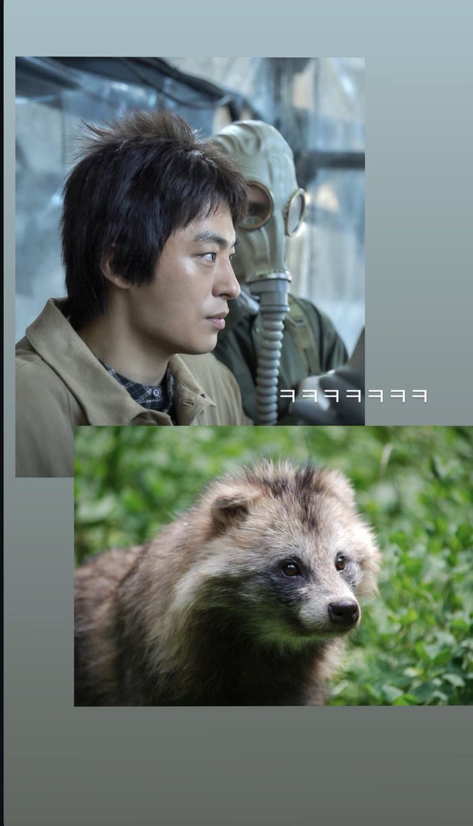 gugu_babmukja's tweet photo. << 내가 원한 의사 필모 모습
실제 의사 필모를 가장한 야생 너구리 모습>> https://t.co/vNVxk3OAiR