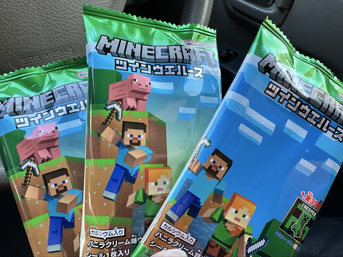 マイクラの羊(はっちゃん)欲しさに買ってしもた🤩