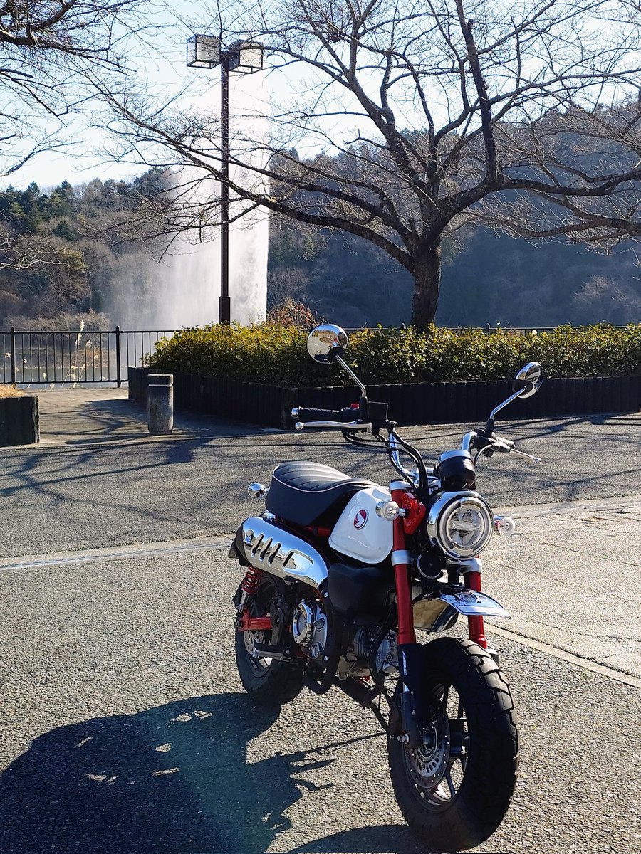 ひーちゃん様 そうへいさんのにゅーましん #monkey