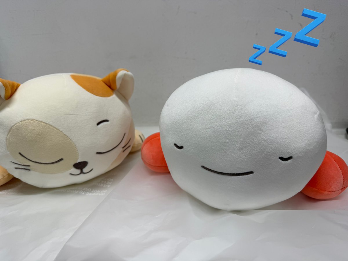 🚪 #BOYNEXTDOOR #BBNEXDO 🚪 BOYNEXTDOOR BBNEXDO クッションが入荷