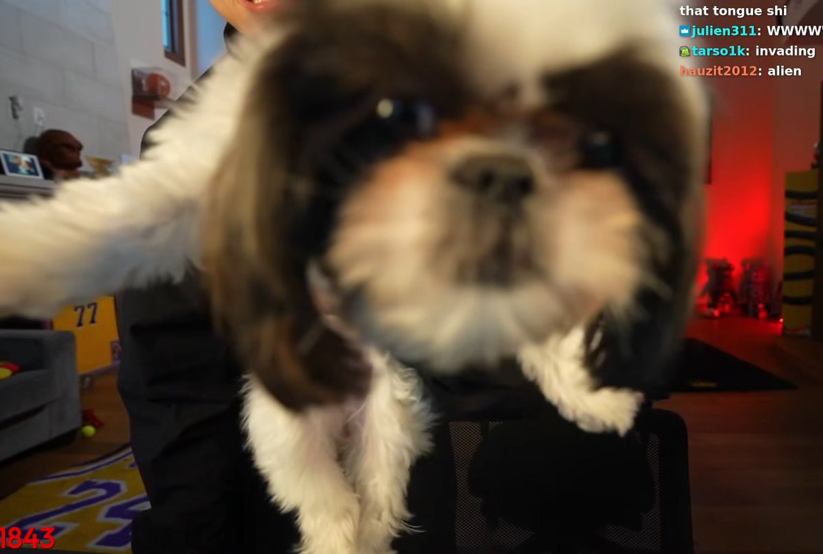 WatermelonCrunch tweet media