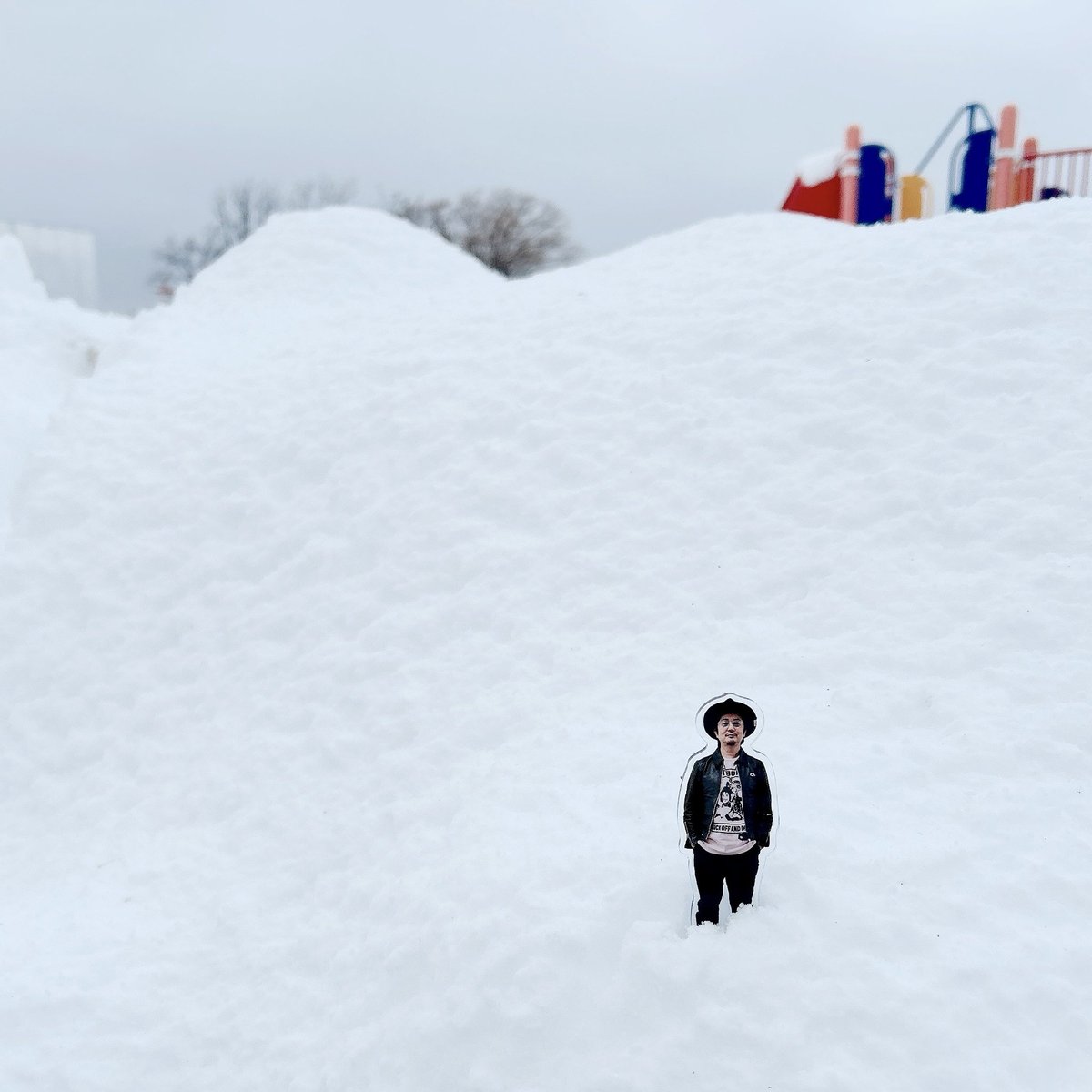 04_soda's tweet photo. 今年もよろしくお願いいたします。お正月は地元・札幌にて過ごす、今年は雪少なめだったよ←これで？笑

🔥増子さんを探せ https://t.co/vD8hZufCGN