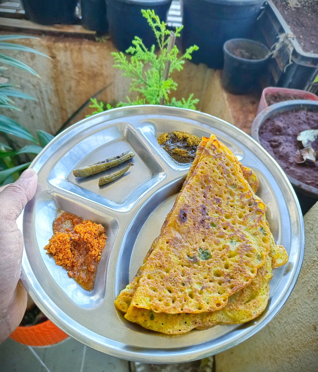 PickThen's tweet photo. Shout-out to Moong Dal Chilla (the food not the shouting..😜)

Accompanied by peanut-coconut, curry leaves podi with pickled green chilies our style; Enjoy..🙏🏼

Have a healthy day ahead... https://t.co/9pKtoGTyJ2