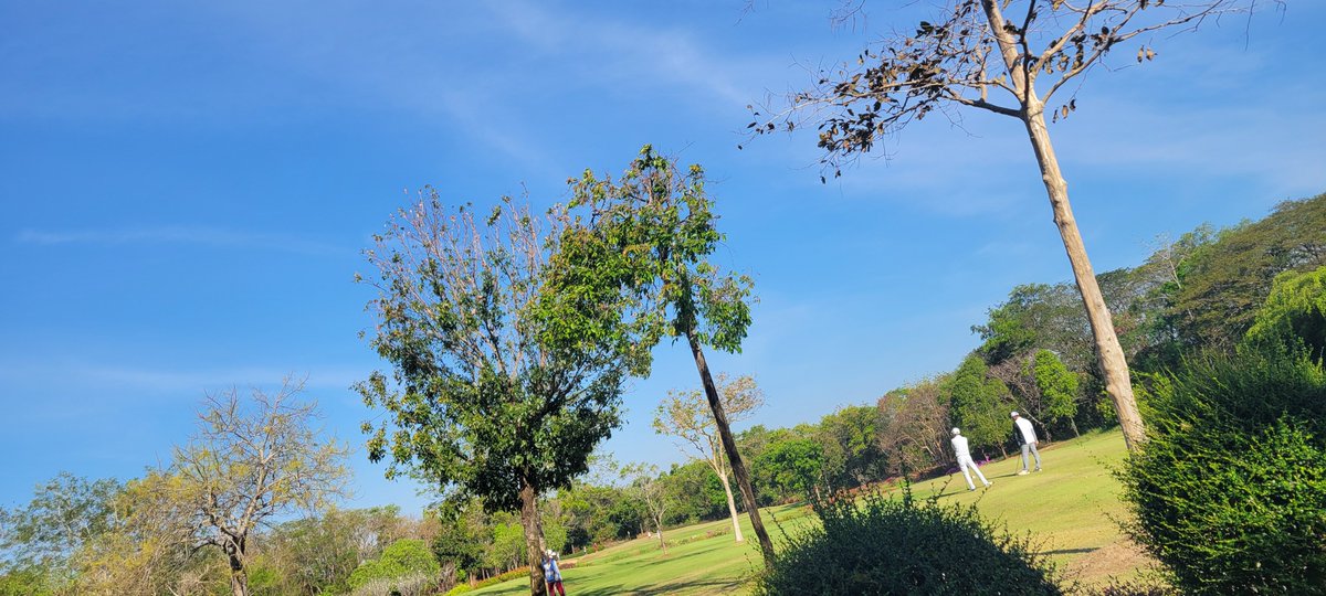 運動神経ゼロの人間がゴルフコースを初めて回った結果、179打というスコアを叩き出しましたヾ(:3ヾ∠)_