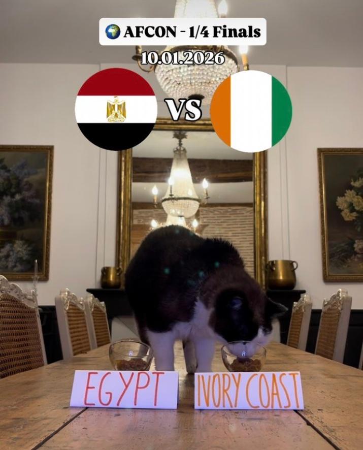 DuruUpdates's tweet image. Wakamaria #Paka amemaliza kazi mshindwe nyie TU