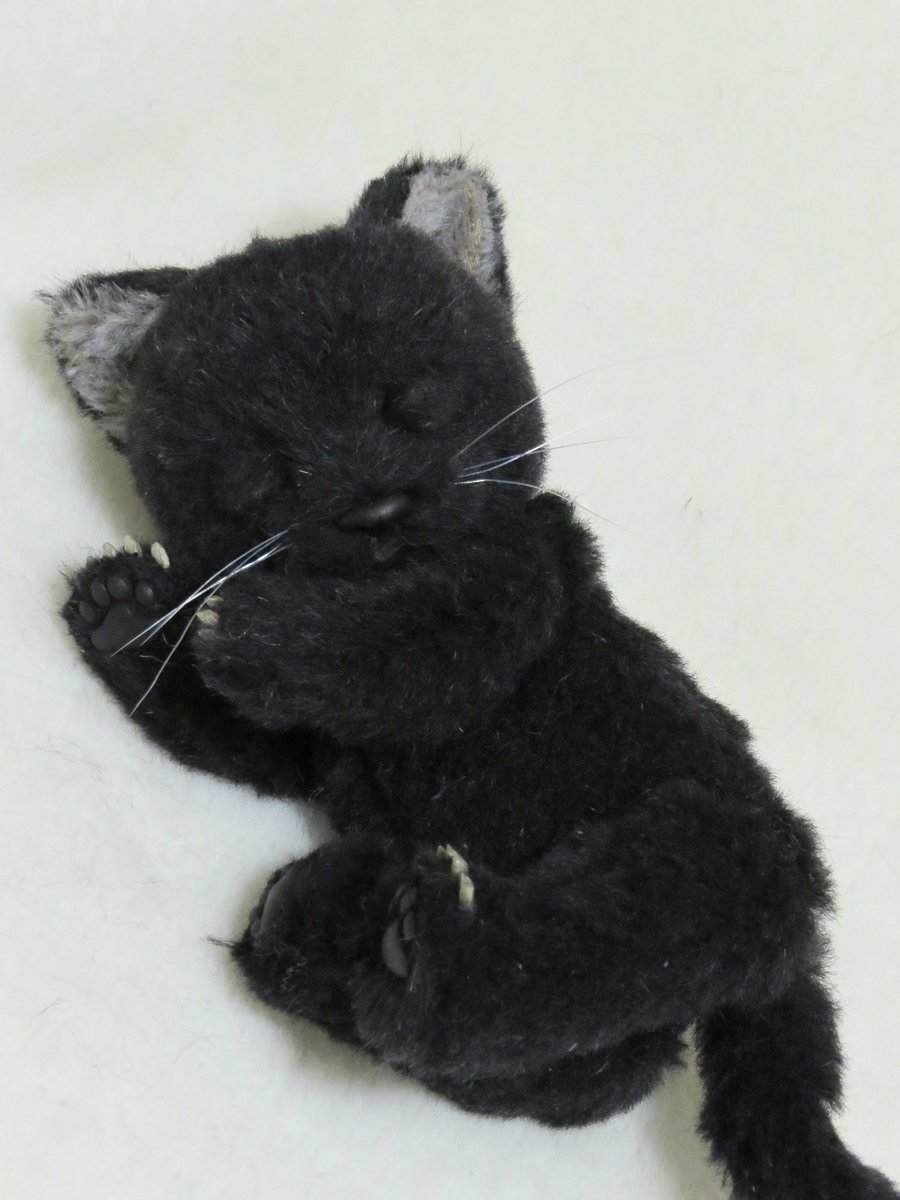 ゆーや🧸テディベアアーティスト🧸 (@puni_puni_bear) / Posts / X