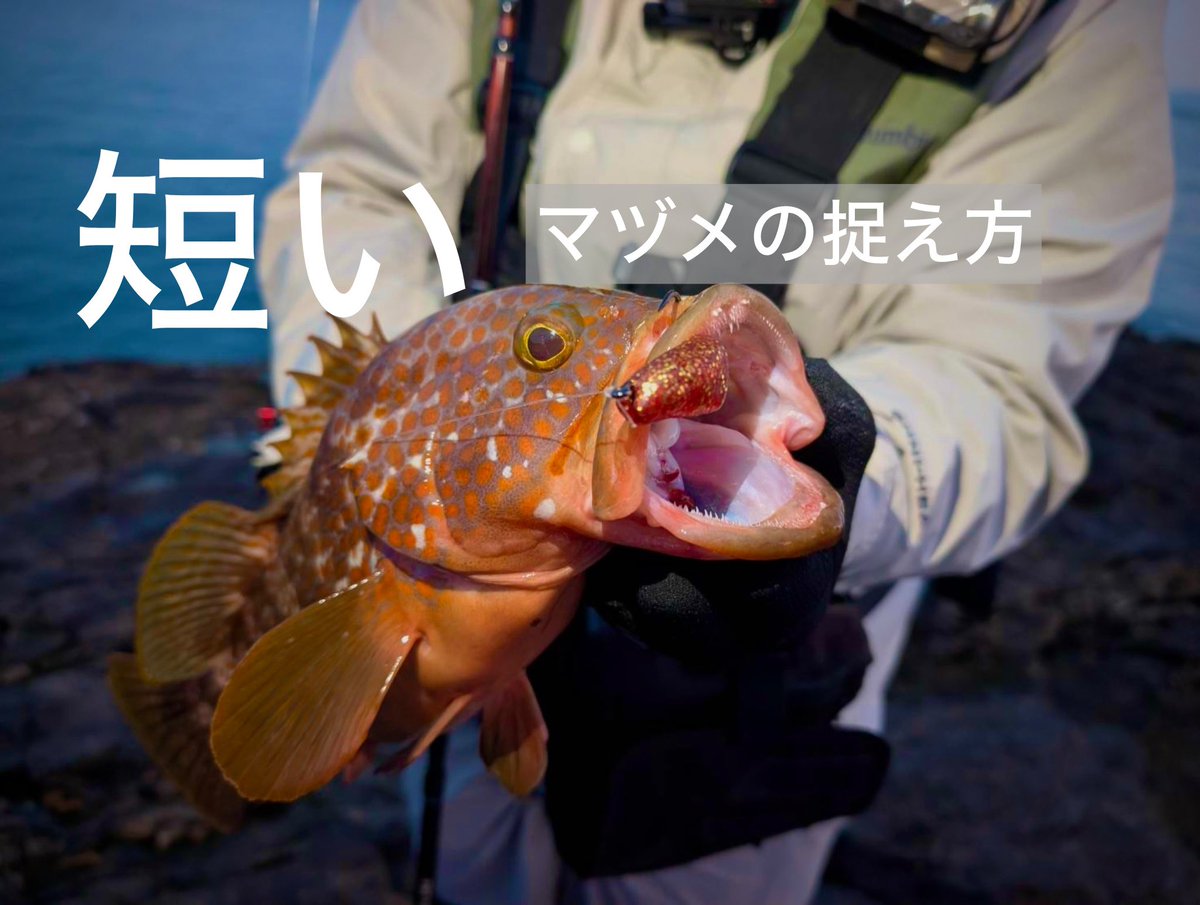 SLPG_Fishing's tweet image. 【キジハタ】短いマズメの捉え方 youtu.be/8QRCqx-ZO8w?si… @YouTubeより

今回から個人のYouTubeチャンネルを統合して、まーくんと2人で活動する事になりました☺️
よろしくお願いします🔥
初回はまーくんのロックショアからです👈