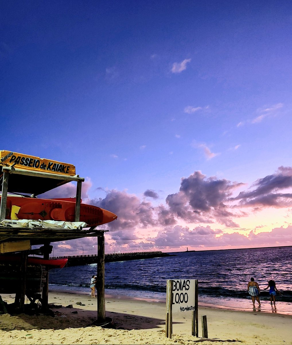 elephas_'s tweet image. minha jangada vai sair pro mar