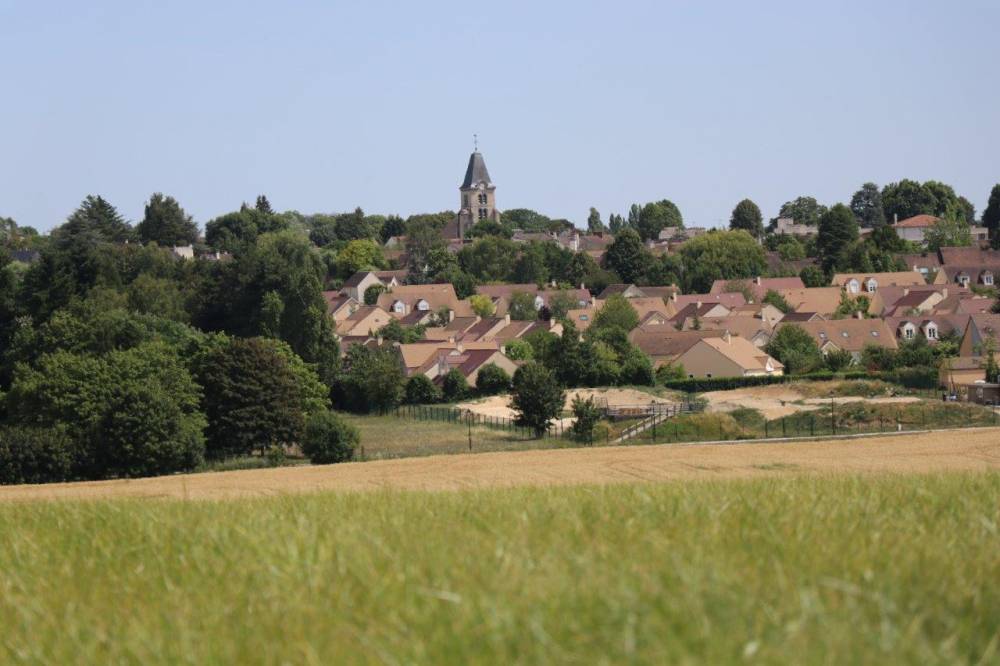 Edouard 🌐⚛️🏗️👶🇺🇦🇹🇼🇮🇷 tweet media