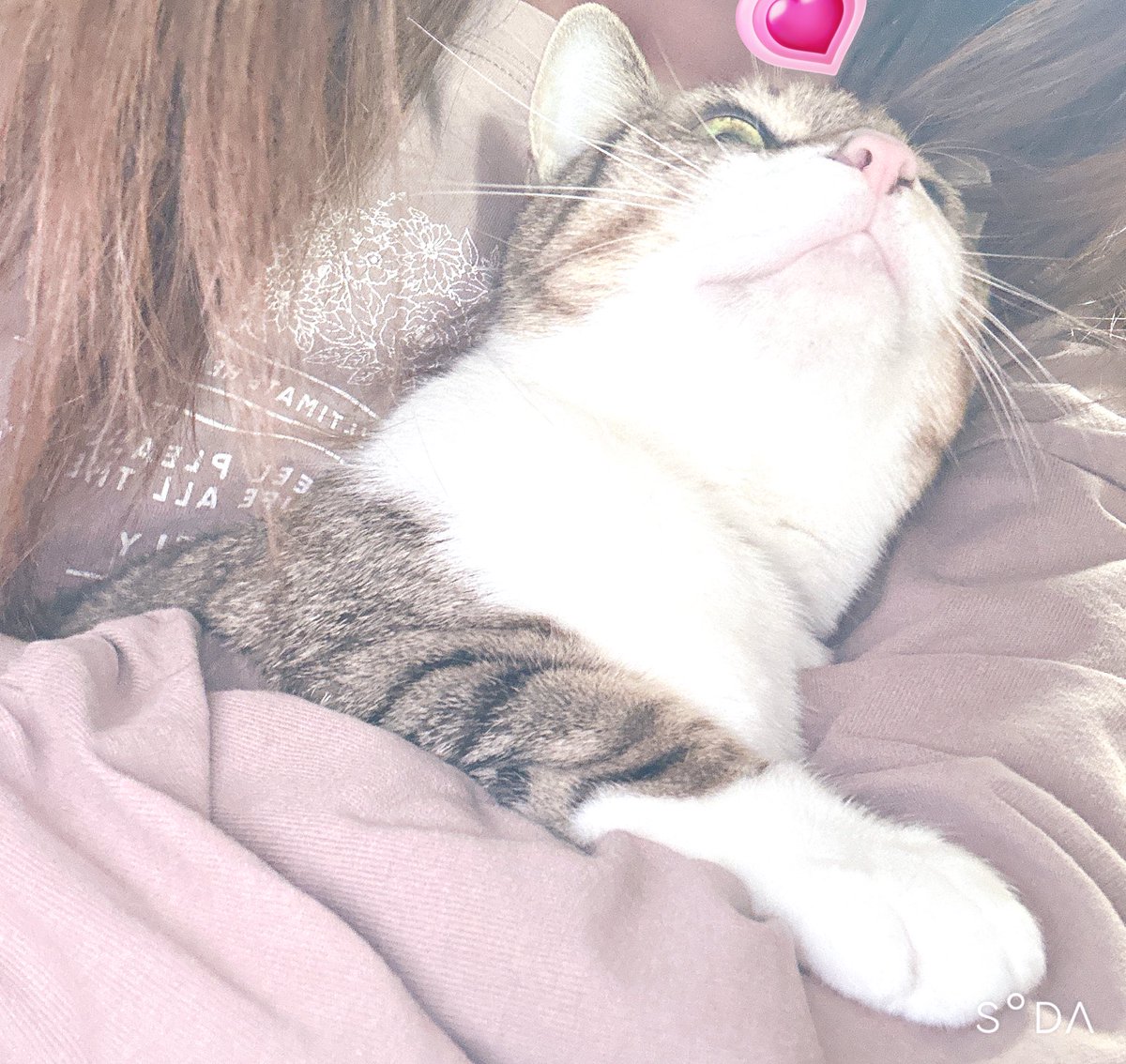 腕の中入ってきて可愛い