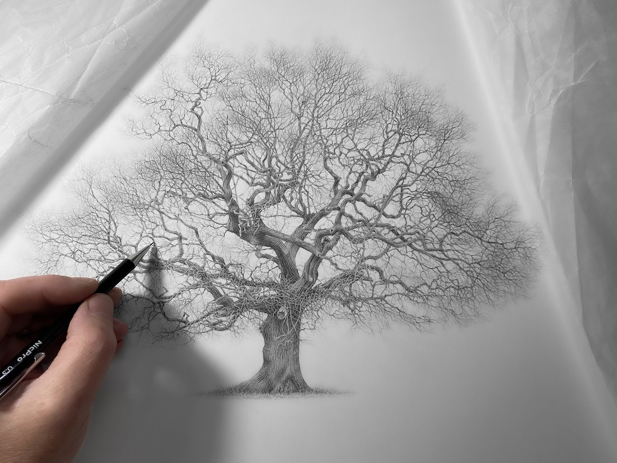 Think of the world as being a great big natural history museum. The exhibits are extroadinary. Entry is free. We are the security, all of us volunteers ...