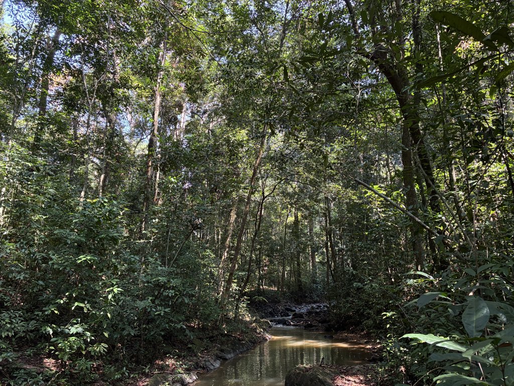 SLEM_SL's tweet photo. Thanks everyone for an amazing hiking trip to Kotomahun village yesterday. https://t.co/uUxsccUvEi