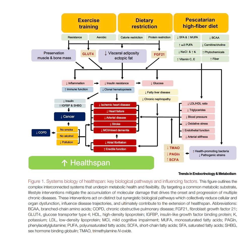George Astras tweet media