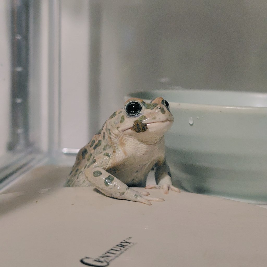 我が家のご飯食べるの下手くそ芸人
お口についてるよ六花ちゃん