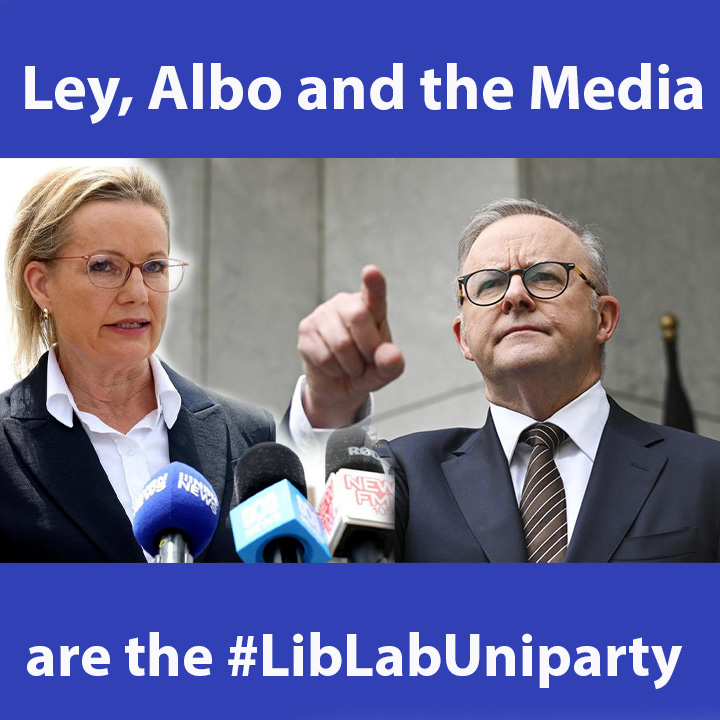 TimjboAU's tweet image. Double Trouble
Appears both Australian political party leaders are afraid of the free-speech platform X.com and of the rapid rise of @OneNationAus, which is challenging the comfort zone of the Canberra Bubble #LibLabUniparty.

Which is why #AlboPM was quick to…