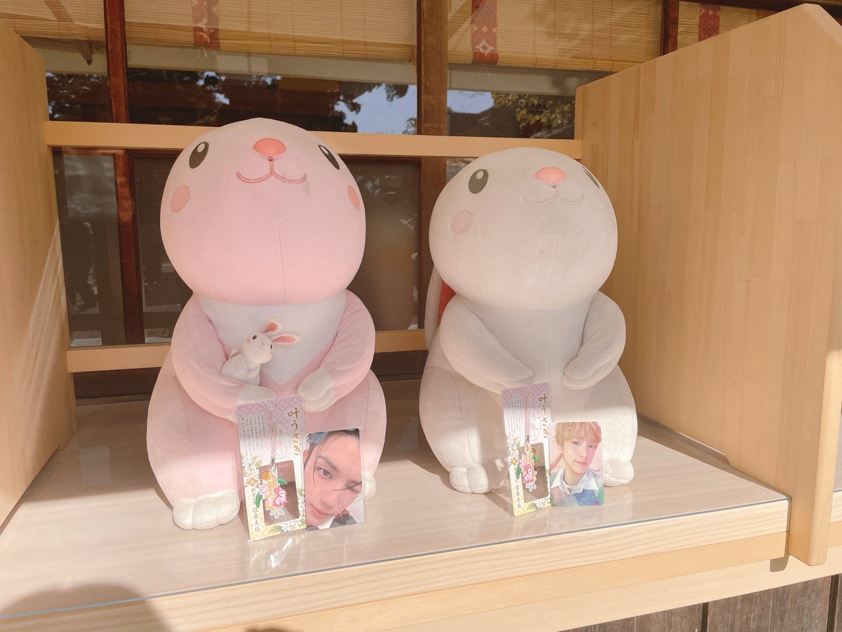 かめちゃんと1日南海電車旅中🐰🚃🩵