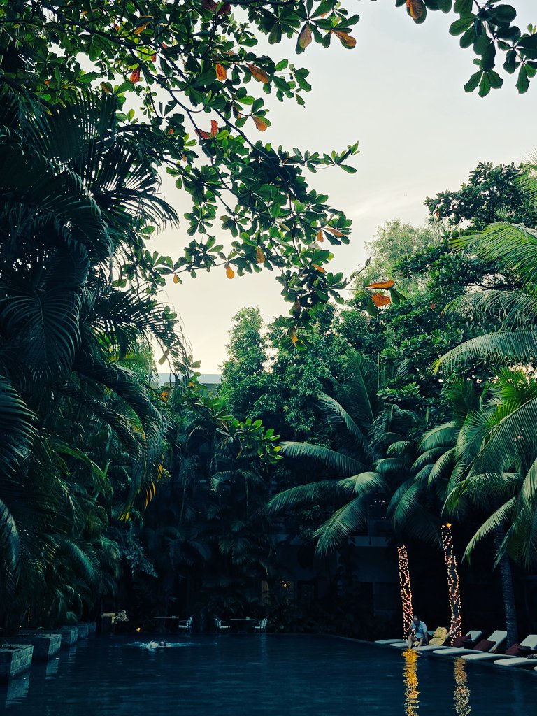 Phnom Penh, Cambodia.

"Can you put Everton Sunderland on please, lad?"