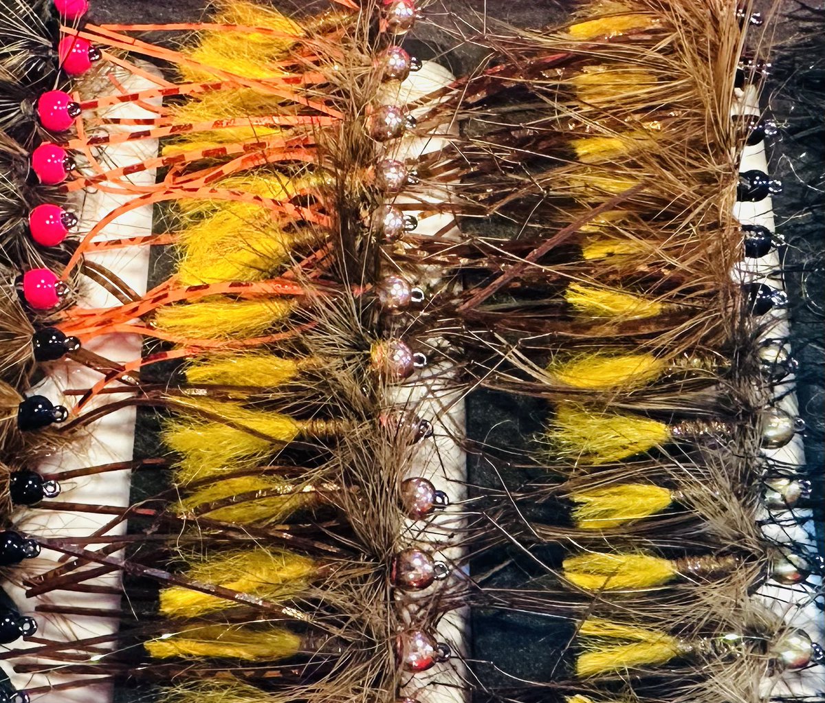 Jonathan James (JJ) tweet media