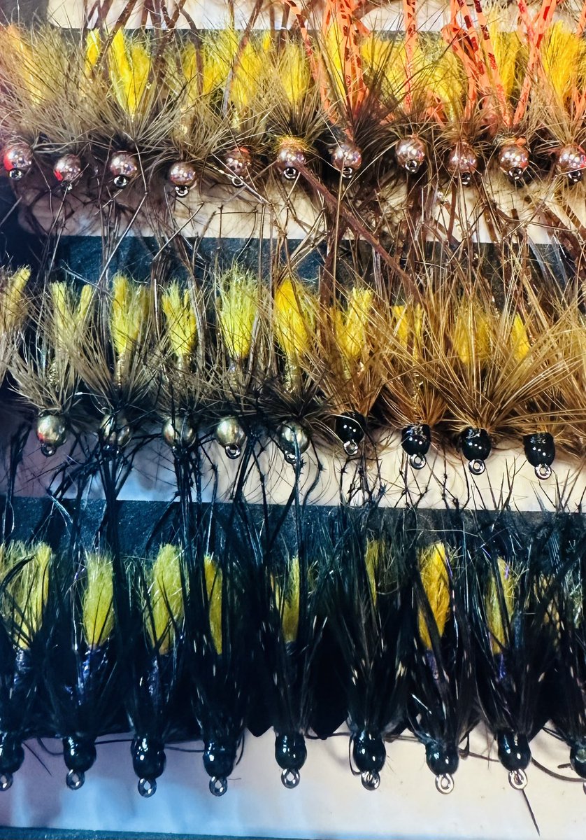 Jonathan James (JJ) tweet media