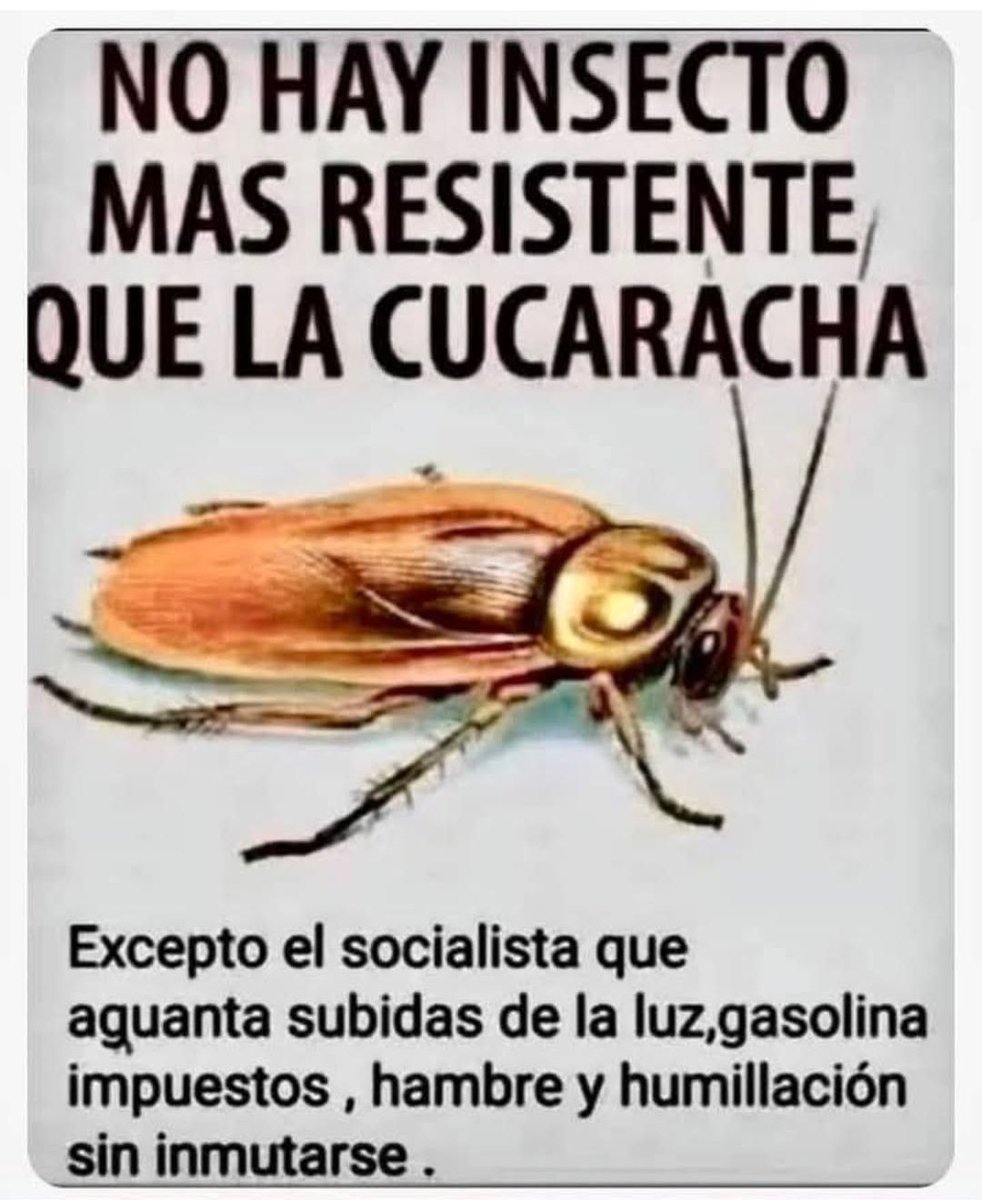 Luis (@thor_luisxvii) on Twitter photo 