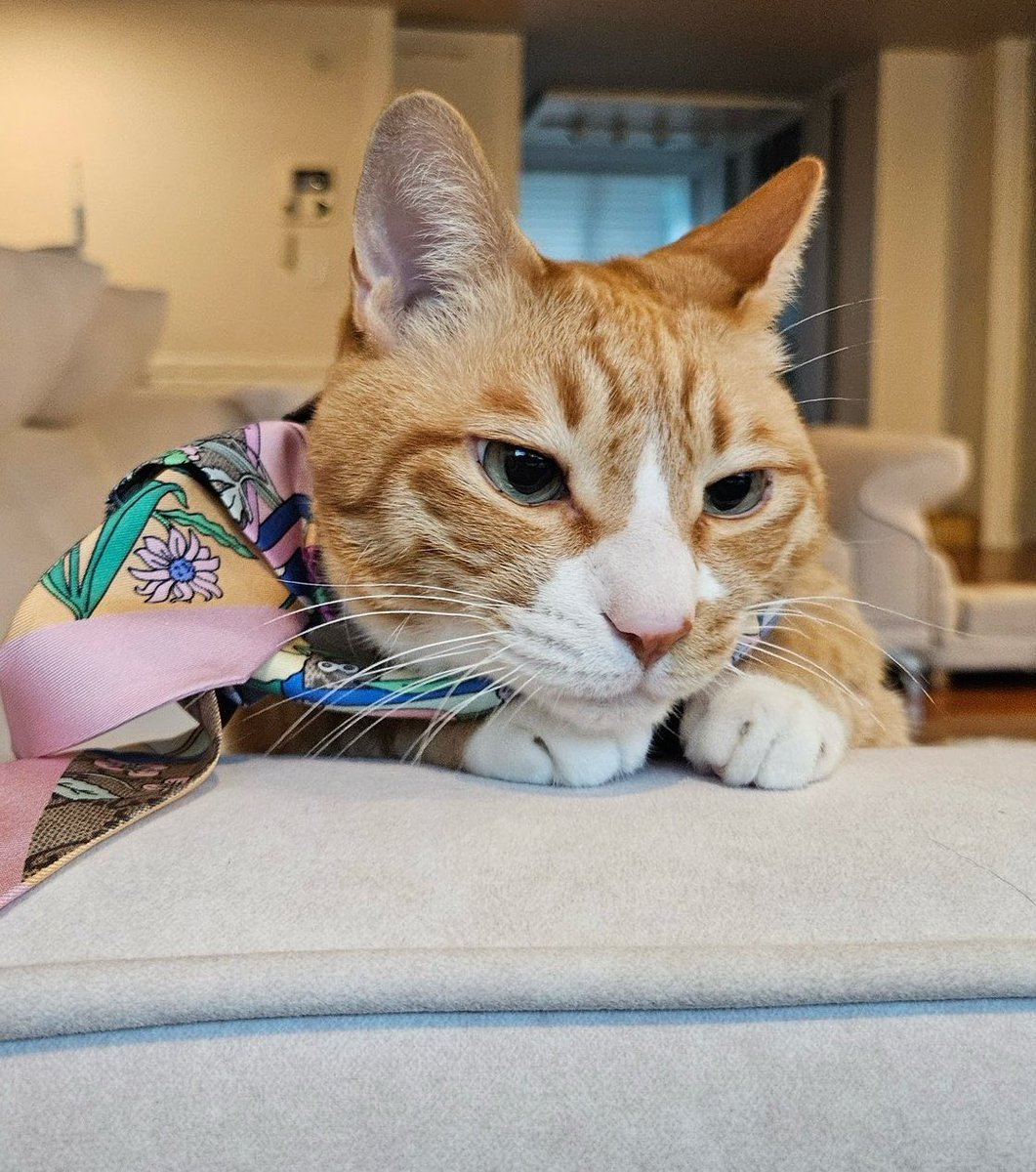 evilbunnyrach's tweet image. soonie = leeknow. they’re literally one and the same, down to the gaze