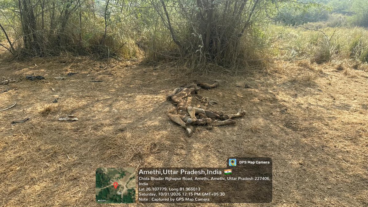 Pradeep Singh_24 News HD (वायदा सच का) Amethi🇮🇳 tweet media