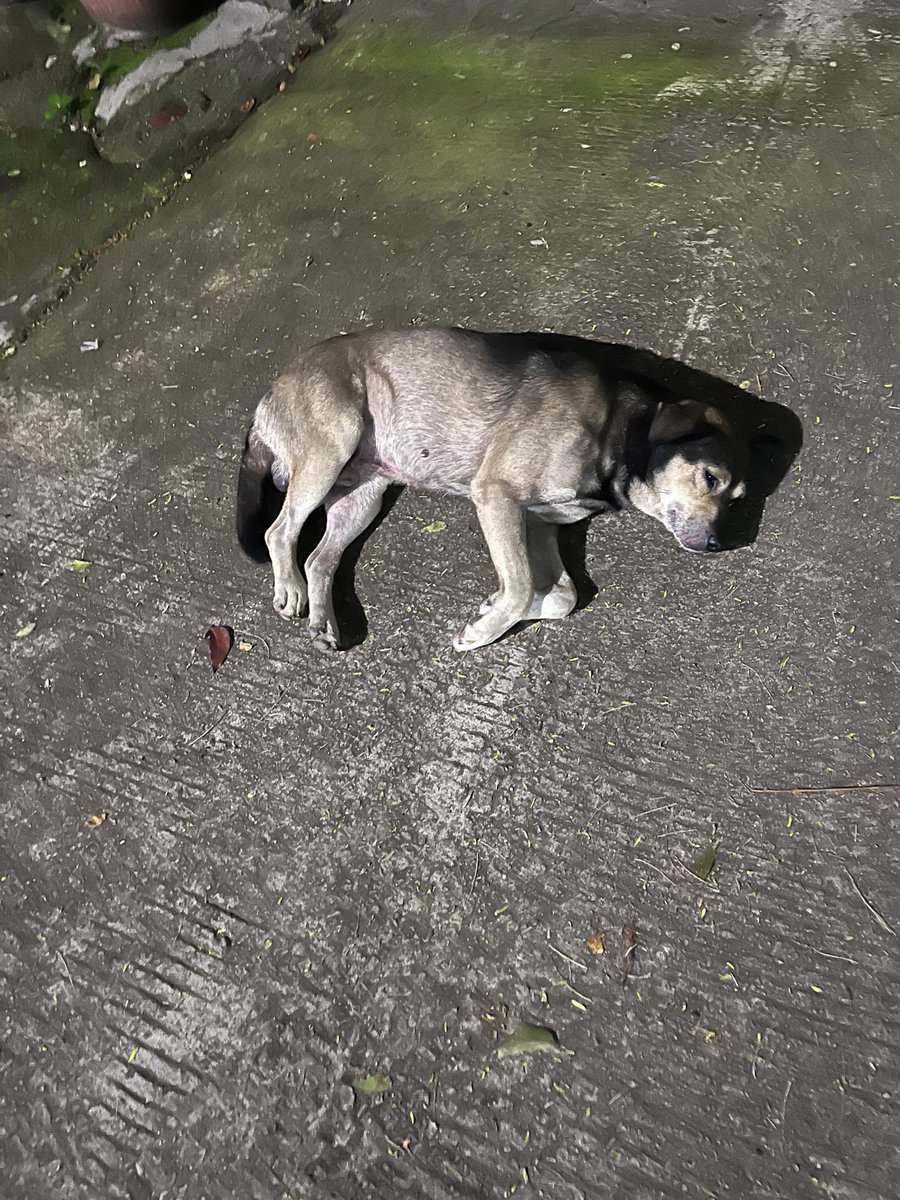 Alhamdulillah ada titik terang. Mudah2an beneran dijemput ya supaya ga luntang lantung lagi