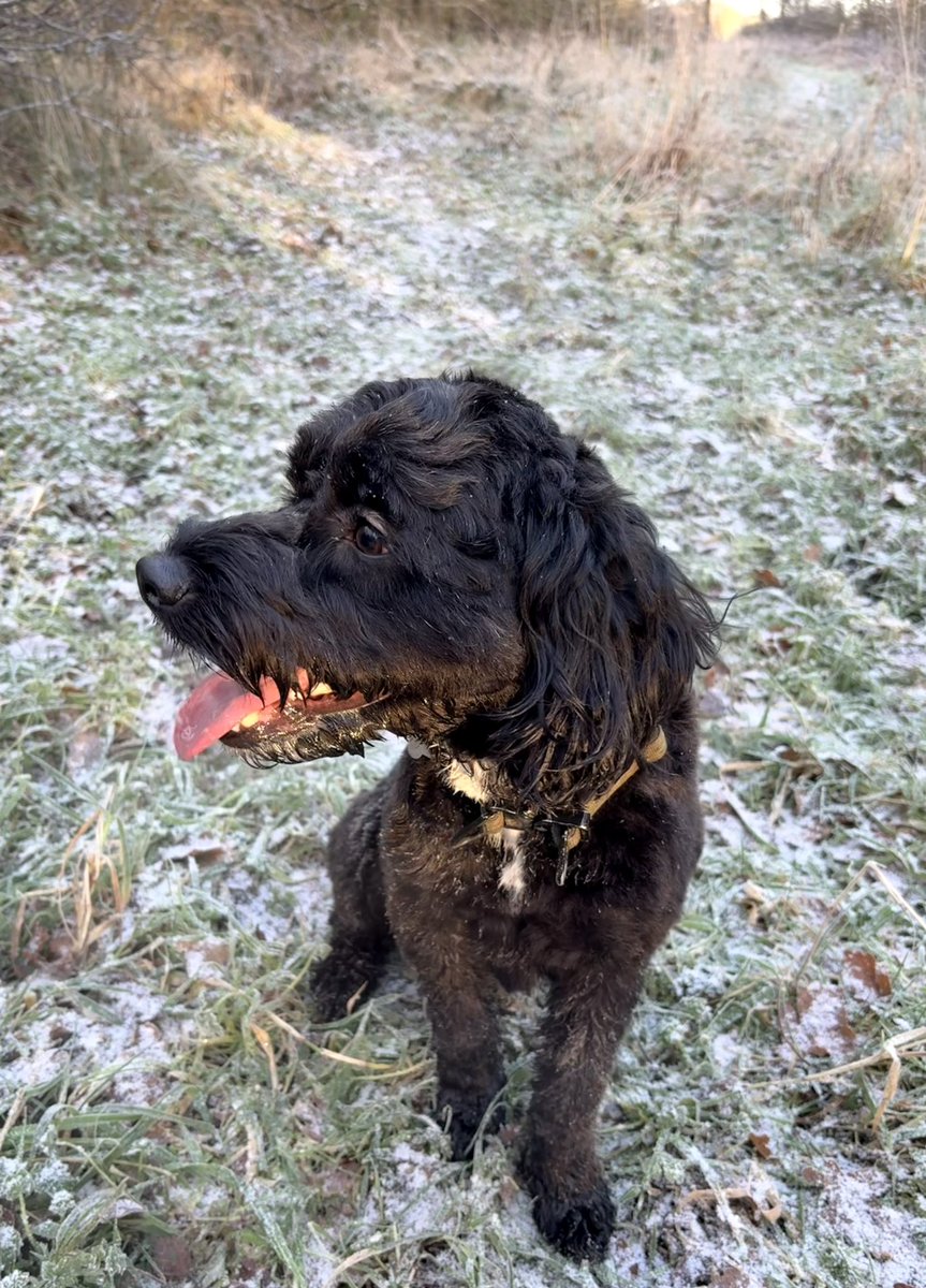 Sam Jackson tweet media