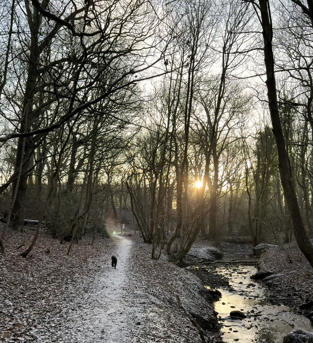 Sam Jackson tweet media