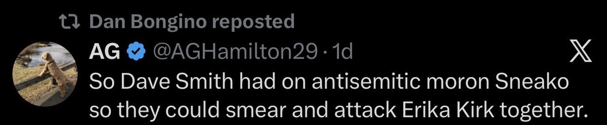 sneako's tweet image. You left the FBI just to tweet fed slop and run cover for Jeffrey Epstein. Your legacy will be remembered solely by this fact. I hope it keeps you up at night the way it should to prevent the tiniest possibility of another American acting as much of a treacherous snake as you.