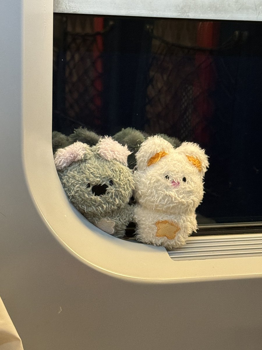 오래오레오 tweet media