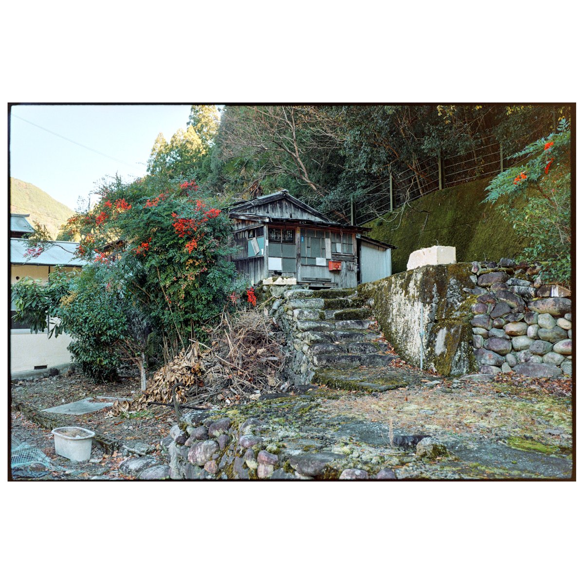 Shimokitayama, Nara 2025.12
film