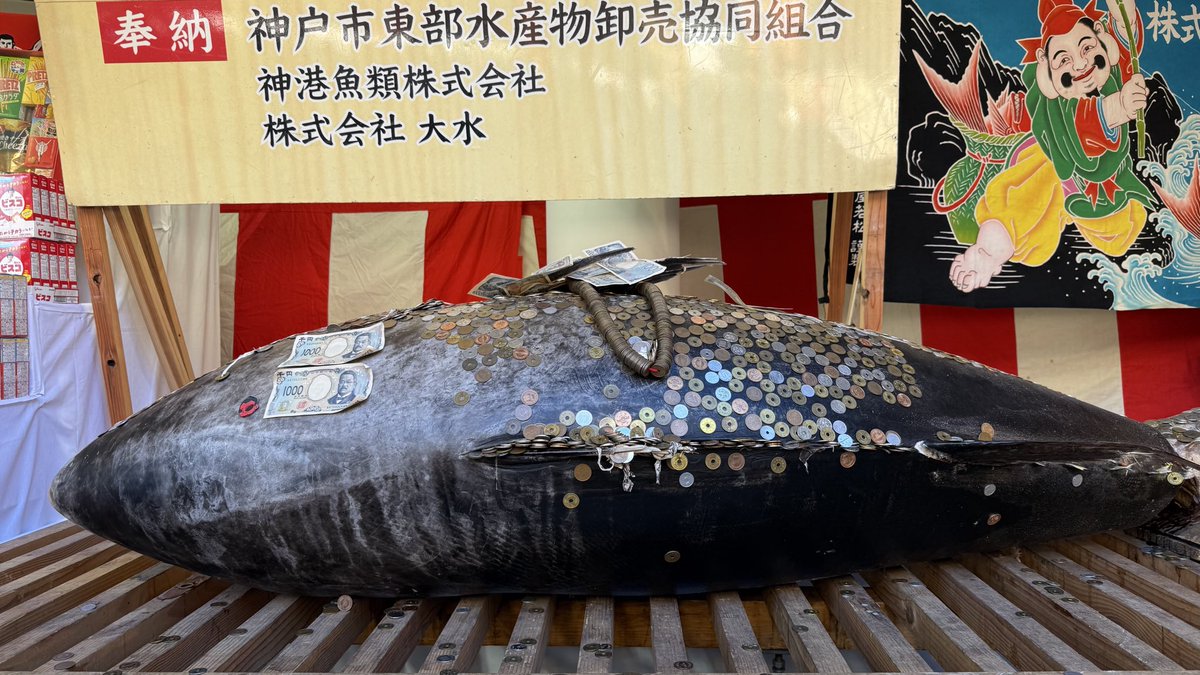 yuyukosama20's tweet photo. 今日は1月10日🗓️十日戎ということで、えびすさまをお祀りする総本社たる西宮神社⛩️に参拝してきました😊今日は土曜日で週末と言うこともあって、西宮駅を降りてからも出店や人でいっぱいでした💫西宮神社ではちゃんとお金が身に付くように招福まぐろ🐟にお金をひっつけてきましたよ🌟途中いろいろ買ったんで、帰るまでにお腹いっぱいになりました🥰