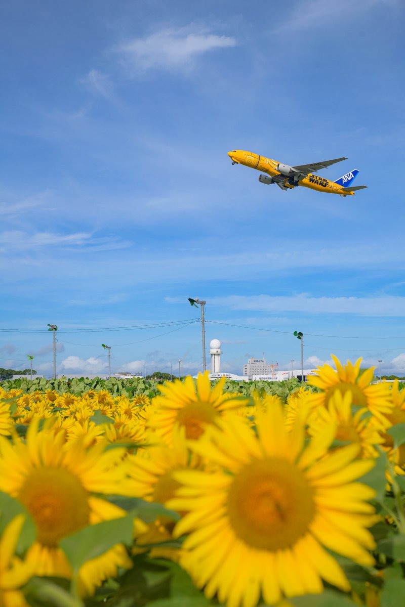 【発送不可】STARBOARD 　福岡　糸島 当店だけの修理保証＆メーカー保証のW保証 2024 スターボード