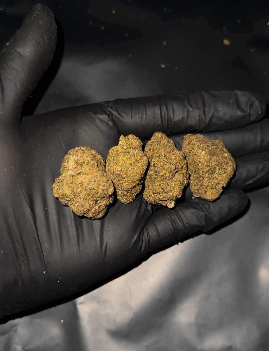 🥦 Black Berry🥦
1g 50฿
5g 240฿
10g 450฿

THC 24%
Indica 80
Taste : เบอร์รี่ หวาน ผลไม้

ชนมือได้ที่สันติธรรม 🛵 กด grab ได้ทั่วเชียงใหม่

สั่งซื้อสินค้า All line.me/ti/p/o37u9LGvXi

 #กัญชาเชียงใหม่ #กัญชากรุงเทพ #กัญชาแม่โจ้ #กัญชาอัดแท่ง #กัญชากรีนแคก #กัญชาออแกนิค #กัญชา