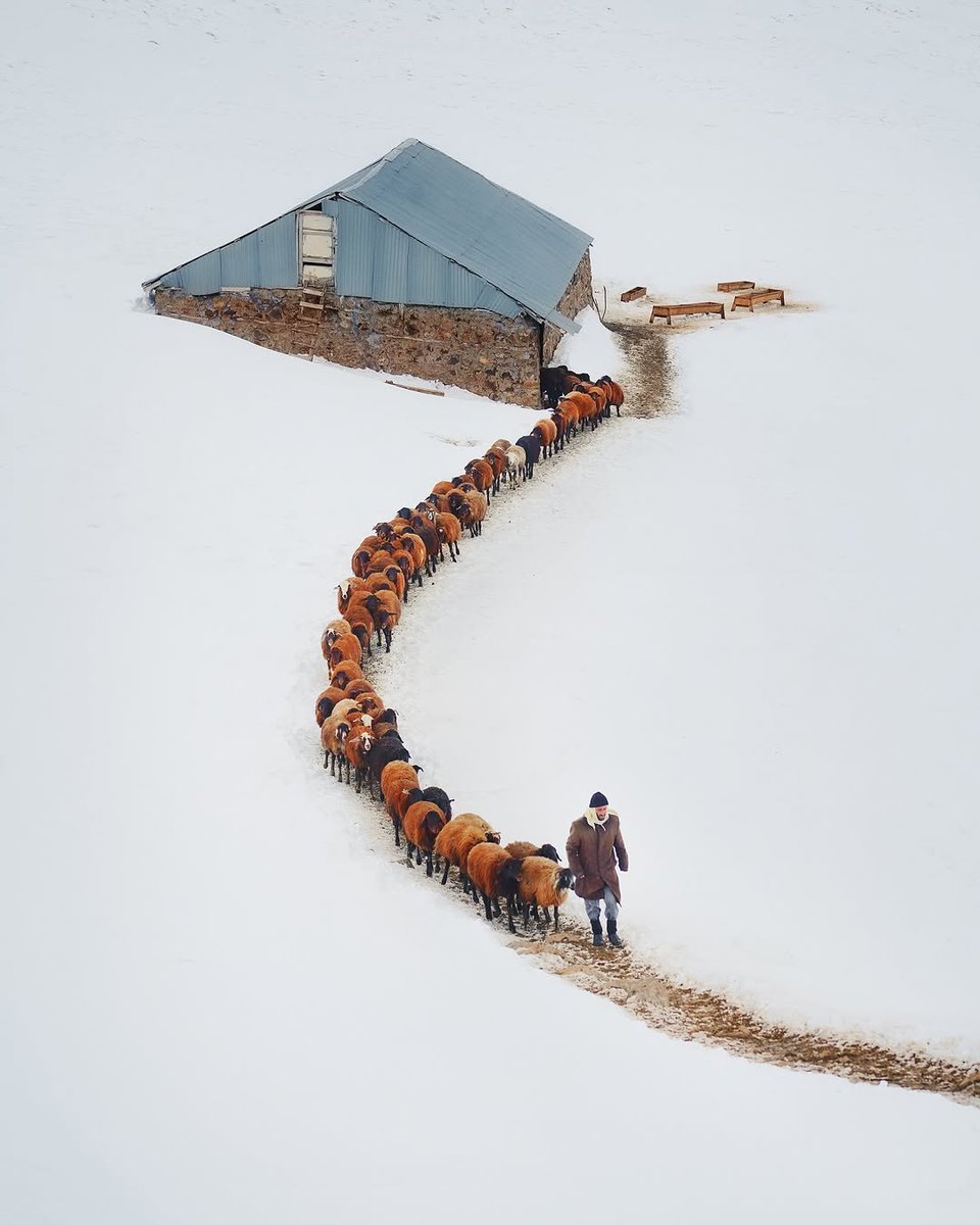 Karlıova, Bingöl.

Fotoğraf: İbrahim Şimşek